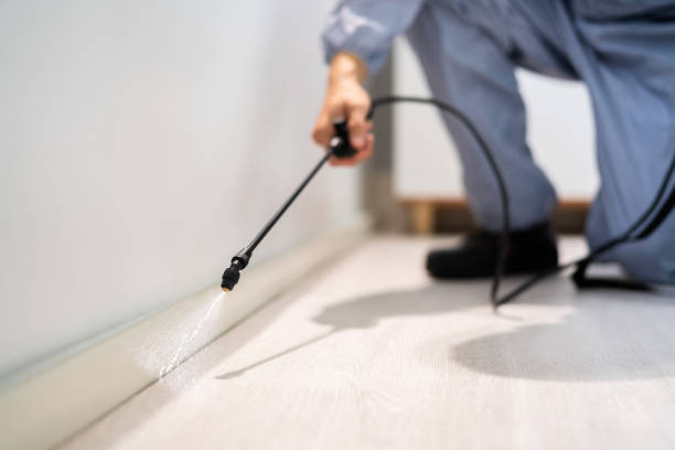 Certified termite inspector examining foundation in La Grande