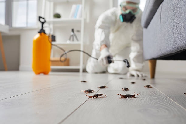 Post-Treatment Bed Bug Interceptor Monitoring in La Grande