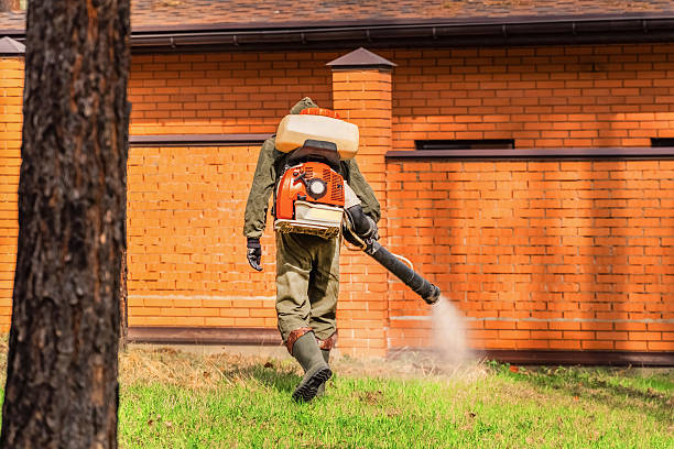Bed Bug Clearance Verification and Documentation in La Grande